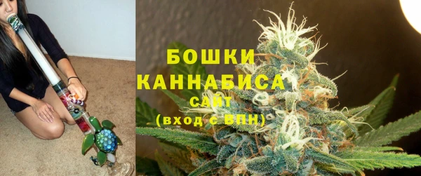 бошки Осинники