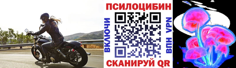 Галлюциногенные грибы Psilocybine cubensis  Купить закладки  Кемь 